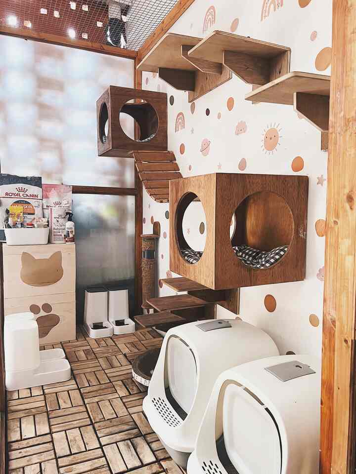 Hello neighbor Kimkim 👋🏻

This is the cat room / cage for fur children at home with dimensions 230 cm long, 100 cm wide & 200 cm high. I was looking for a vendor to make room paint from aluminum, but because the price was expensive 😮‍💨 so I racked my brain to make it myself with a craftsman near my house. The frame for this paint room uses Dutch teak wood, steel wire, glass (forgot how many mm) 🤭 The price is much cheaper!

Even though there is a cat room, fur children are still free to play inside the house. I will put them in the cat room/cage when I'm cleaning the house, or if someone is sick.

I put everything my fur baby needs here, so it's neat & not messy. Oh yes, I decorated the walls with wall stickers whose color matched the tone in Kimkim's house.

Thank you for playing in Kimkim's house paint room, OK?

#CatRoom
#CatRoomInspiration
#CatRoomDesign
#AestheticCatRoom
#UniqueCatRoom
#CatLover #CatLovers
#Cat lover
#Pamulang
#Tangsel
#CatRoomStyling


