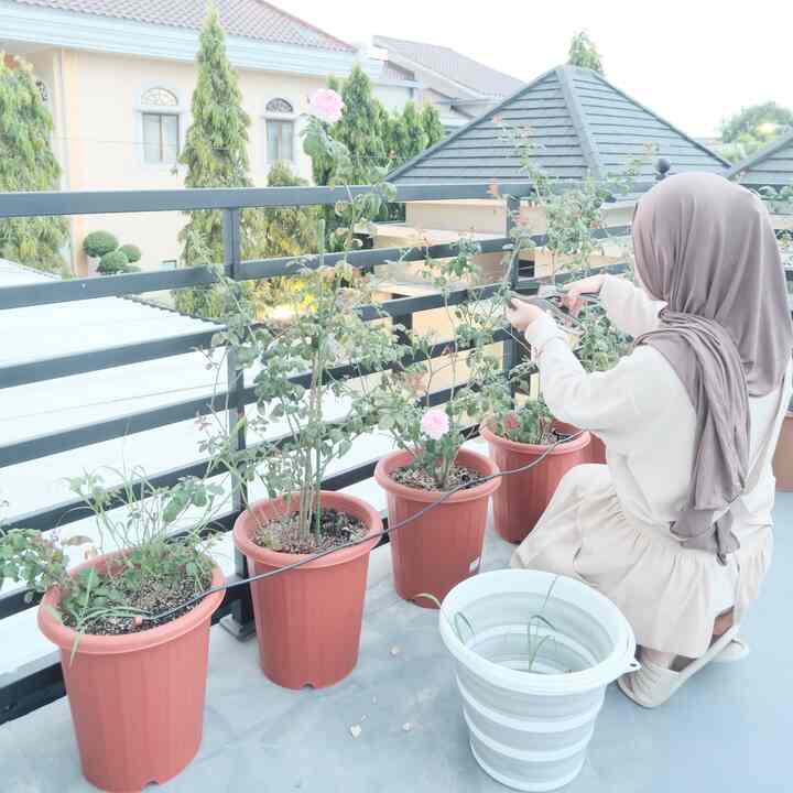 Dekorasi Tanaman Di Damaruma ✨

#TanamanHijauIndoor #MiniGardenIdeas #TamanKanopiBalkon #IdeDekorasiTanaman #PlantDecorIdeas
