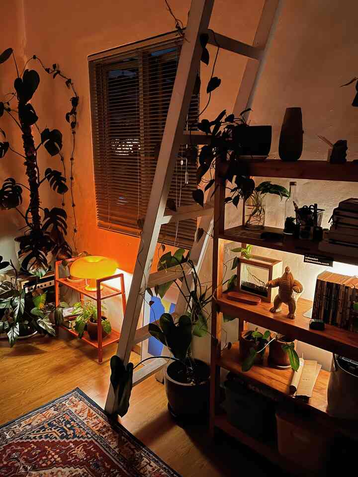Cozy living space featuring warm wood tones and abundant plants, window with blinds and ambient lighting creating inviting atmosphere