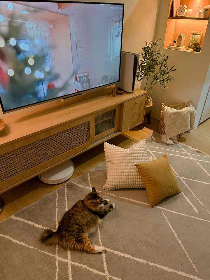 Wood tone natural living room featuring a TV cabinet, rug, and a cat resting for a cozy atmosphere