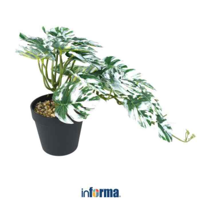 Tanaman Artifisial 25 Cm Monstera Albino L3