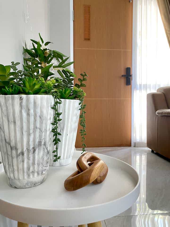 Bright entrance or living room featuring wood tones and natural green plants with white tones