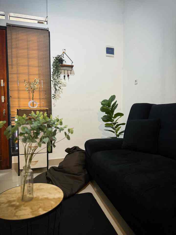 Black sofa bed and bean bag with artificial plants arranged in a simple living room space