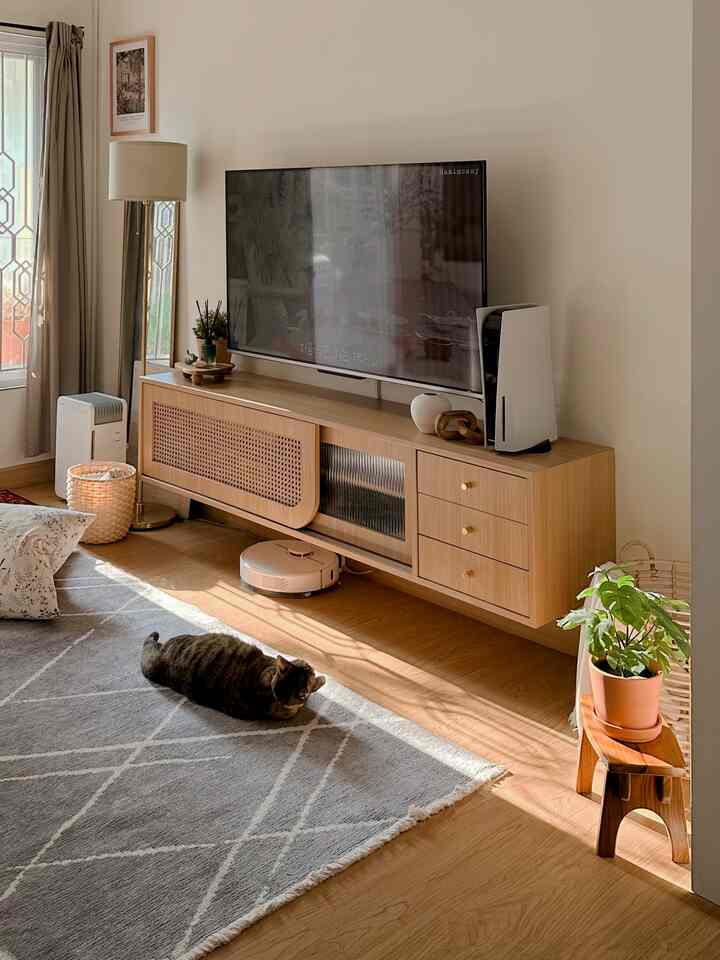Cozy living room with natural wood tones and gray carpet, featuring a cat resting on the rug basking in warm sunlight