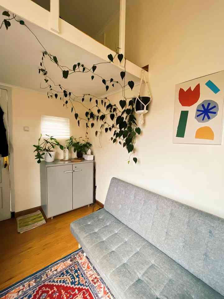Satu Ruang Memiliki Dua Fungsi.

Mungkinkah memiliki living room dalam kamar? Yapp, mungkin saja terwujud, seperti contoh pada ruangan #Philodechamber, menyajikan living room dengan memiliki ambience yang hangat serta dipadukan dengan konsep urban jungle.

Pengisian interior di dominasi banyaknya tumbuhan, agar menjadi elemen dekoratif yang paling menunjang dengan konsep urban jungle itu sendiri.
Untuk elemen tanaman sebagian besar didapat dari pencarian langsung ke toko-toko offline agar sesuai jenis dan bentuk yang diinginkan.

#livingroomstyling
#decorlivingroom
#livingroommakeover