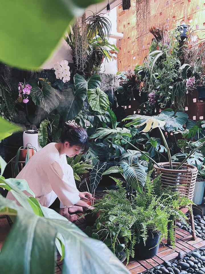 Halo Tetangga Kimkim 👋🏻

Saya sangat menyukai tanaman, setiap akhir pekan setidaknya saya menghabiskan waktu untuk merawat koleksi tanaman saya di taman mini ini. Berkebun atau merawat tanaman membantu stress release, bikin hati tenang dan fokus.
Taman mini semi indoor ini berada di teras rumah Kimkim.

Walaupun dari depan rumah Kimkim terlihat tertutup, tapi didalamnya ada taman mini semi indoor yang membuat rumah Kimkim menjadi sejuk & nyaman. Apalagi pada saat hujan, gemercik air yg membasahi daun2 sangat bikin hati tenang & sejuk 🍃😍

#WaktuFavoritDiRumah
#FavoriteRooms
#FavoriteDecorItems
#IdeTaman
#StylingTaman
#TamanMini
#MiniGarden