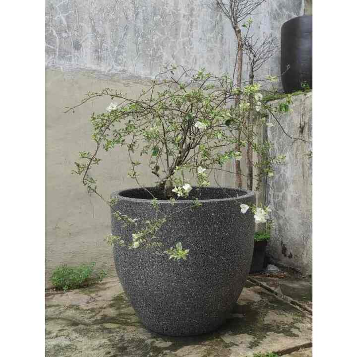 Pot Tanaman Terakota 60 x 50 cm