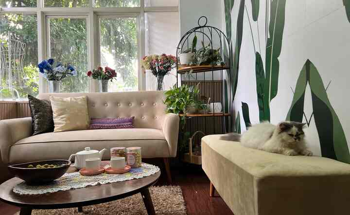 Cozy natural-tone living room featuring beige sofa with cushions, coffee table, plant stand, botanical wall decor, and a cat resting