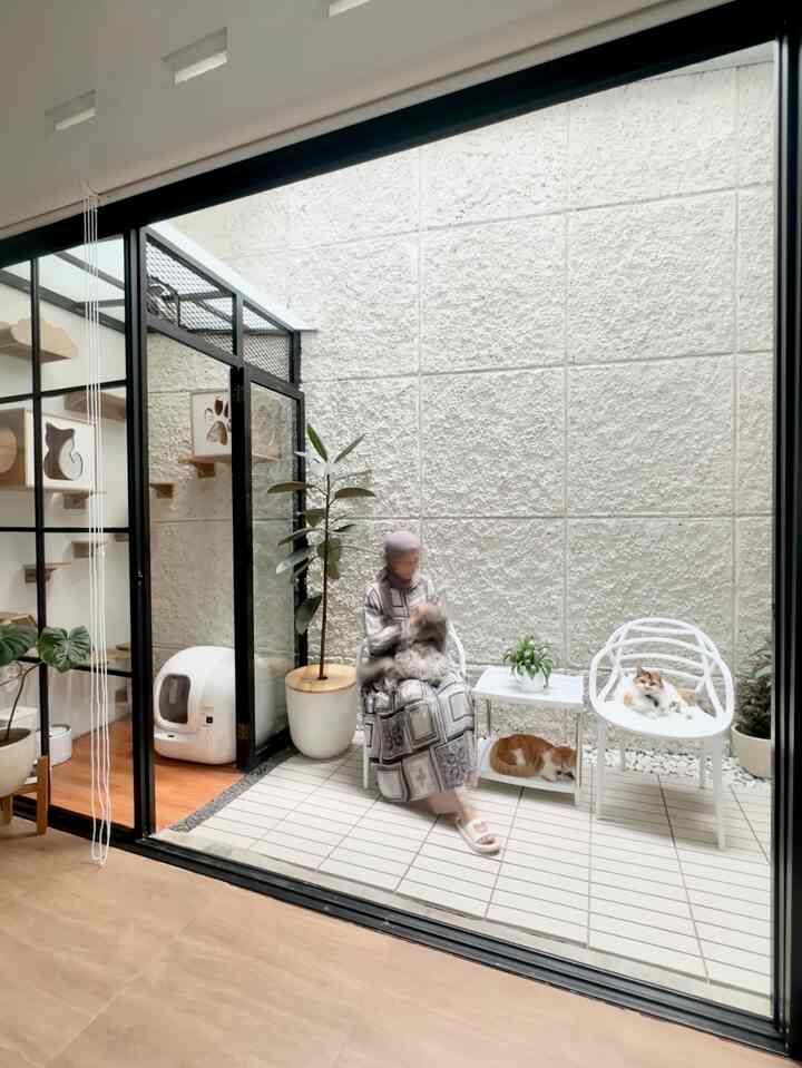 White and natural toned veranda featuring pet furniture and plants with a cozy cat-friendly atmosphere