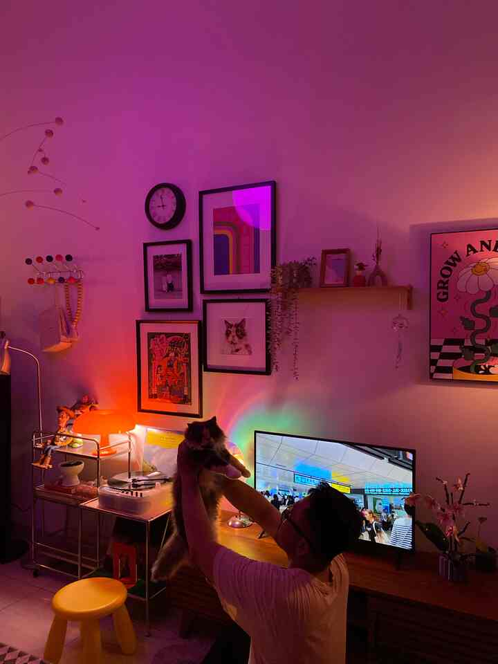 Purple-lit room with multiple framed pictures on the wall, a person holding a cat centrally, creating a cozy indoor ambiance