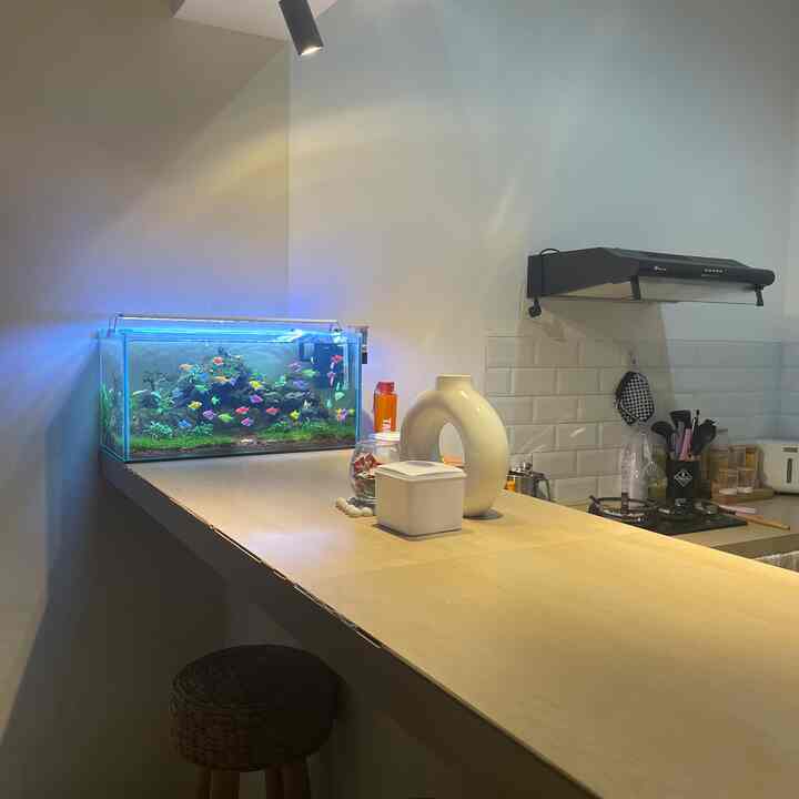 Salah satu Ruang Favorit dirumah

Meja makan, yaa karena area ini bisa sambil duduk santai dan gemercik air aquarium bikin suasana jadi syahdu.

Biasa tempat ini kita pakai ketika malam hari. Biasanya diarea ini selain buat area makan, dan duduk. Kita juga bikin buat kumpul dan ngobrol sambil lihat ikan glowfish. 

#WaktuFavoritDiRumah
 #FavoriteRooms
 #FavoriteDecorltems
#favoritdirumah
#ruangmakan
#aquarium
#rumahdalamgangskm
