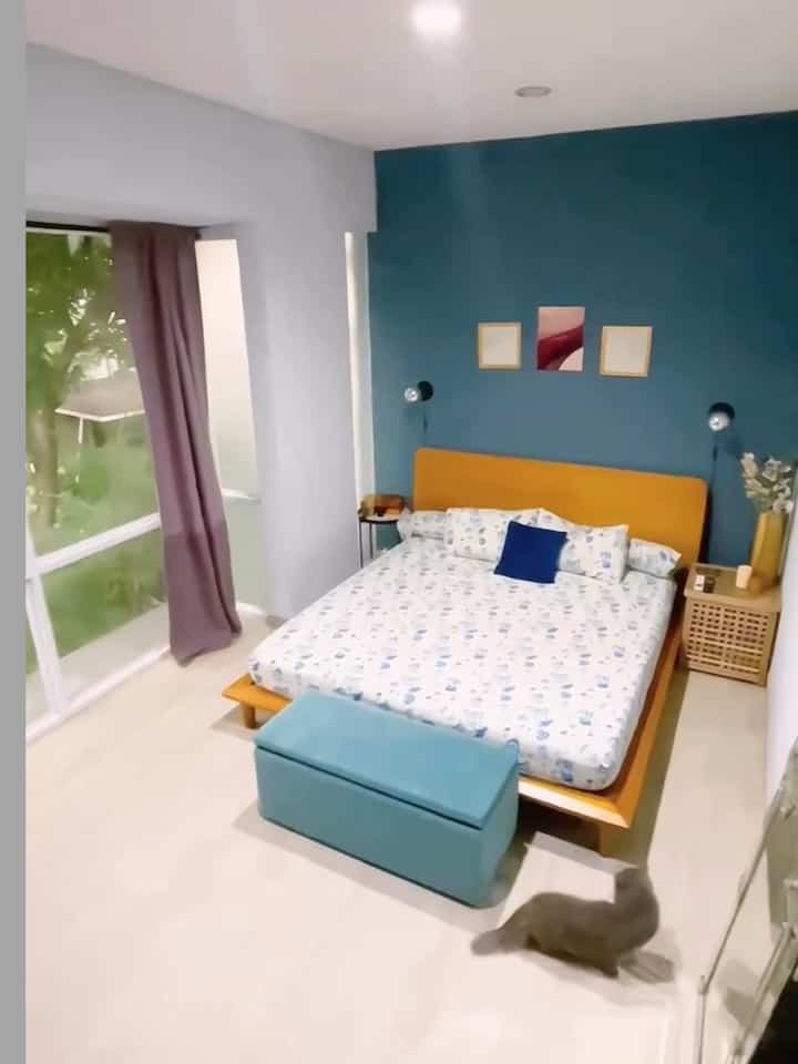 Waktu favorit dirumah pastinya saat2 menghabiskan waktu sama anabul.. secapek apapun begitu ketemu mereka pasti langsung happy lagi.

#waktufavoritdirumah
#favoritroom
#favoritdecoritem
#playtime
#happytime
