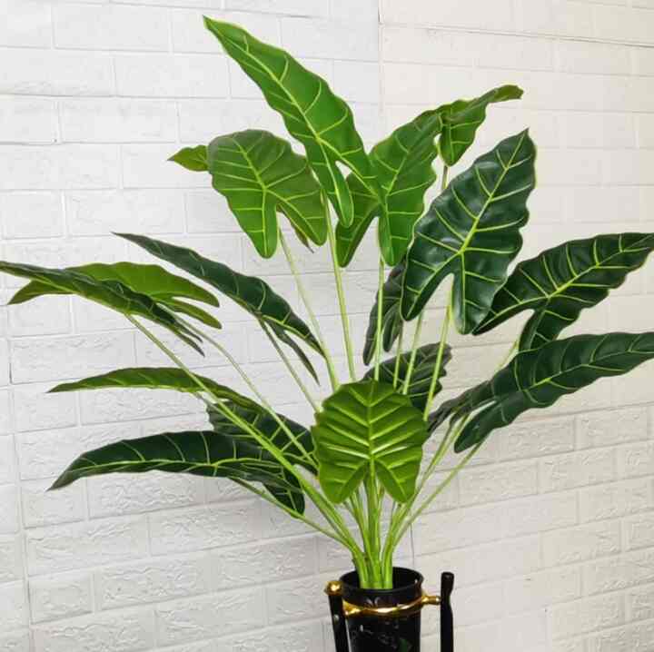 Tanaman Hias Plastik