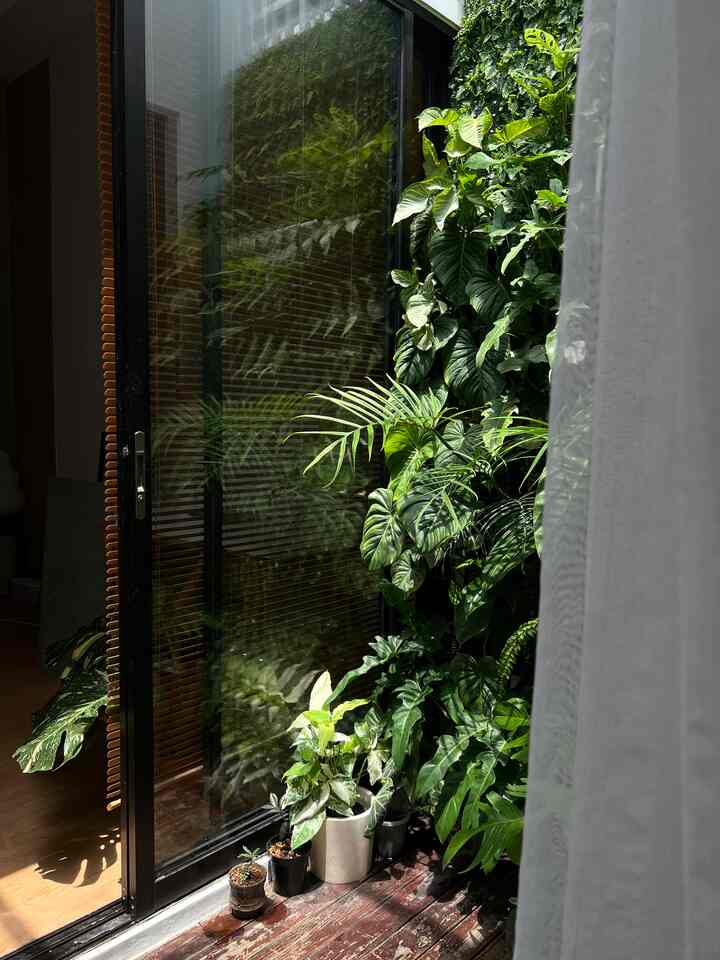 Halo, ini bisa di sebut oasis di rumah kami, sebagai pecinta tanaman dan tidak mempunyai lahan yang cukup maka kami putuskan membuat vertical garden dengan tanaman tropical/aroid, dan lebih dari 200 jenis tanaman ada di taman ini, taman kita di bagi 2 bagian, pertama di area entrace dan kedua di area rooftop, semoga menginspirasi 

#inspirasitaman #gardendecor #tamanvertical #verticalgarden #dekorasitaman