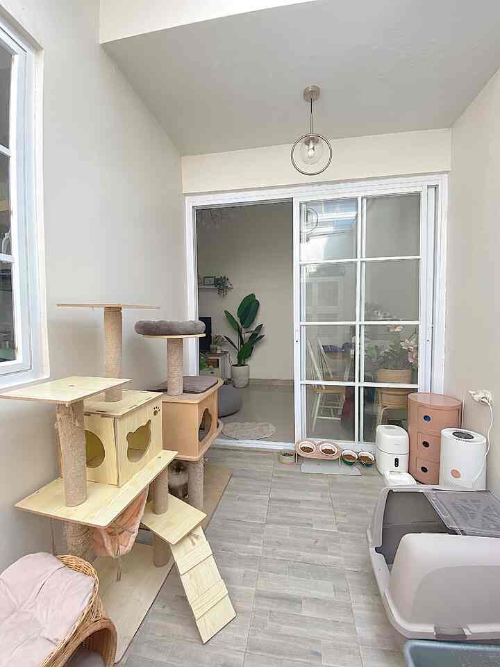 Because we don't have children yet, we are presenting the paint room for this week's mission. We provide toys for our eleven children at home, such as cat trees and don't forget their beds. We also provide places to eat and drink for them


#PetFriendlyHome #RumahRamahAnabul #PetFriendlyDesign