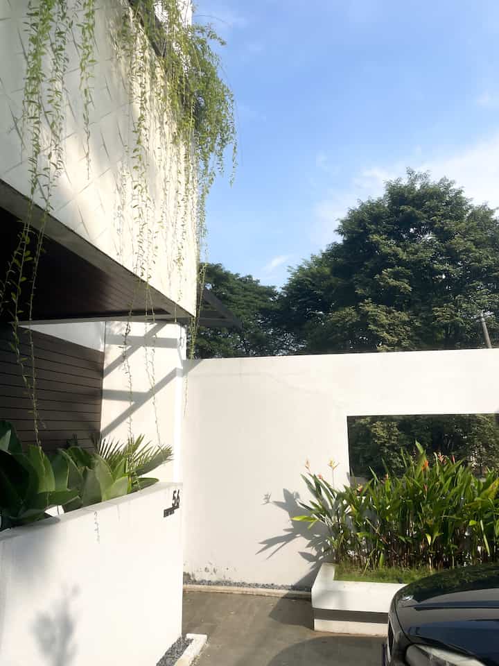 ✨Taman Depan✨

Tema rumah ini adalah #moderntropical jadi tanaman adalah satu aspek penting dalam rumah ini. 

Memang punya tanaman itu susah2 gampang ya merawat nya. Cuma menurut ku dengan adanya tanaman menjadi suasana lebih adem dan asri. 

Gimana menurut kamu?
Team tanaman asli apa palsu aja? 

#moderntropical #rumahidaman #rumahdenganpekarangan #rumagmoderntropical #landscapeideas 