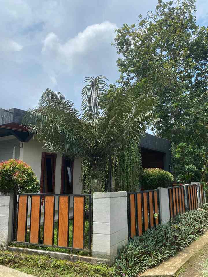 A minimalist garden in the front area of a simple house with the addition of a cat room is a place where I take care of plants, it's not much but it makes me happy and forget the time

#TamanMinimalis
#TamanMungil
#Homepage
#RumahTanpaArsitek
#DecorLowBudget