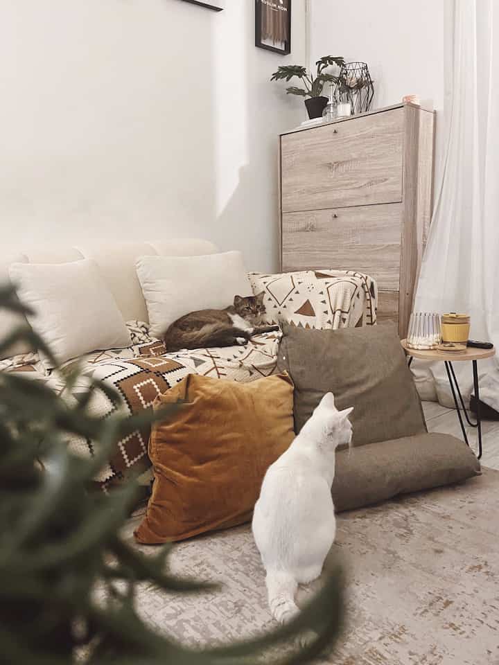 ✨ Its Movie Date 
Kegiatan favorite kami saat libur adalah menonton Film. Dulu hampir setiap weekend kami movie date ke bioskop. 
Tapi setelah memiliki lilmuslim, kami tidak pernah ke bioskop lagi 😂. Gantinya kami membawa ‘bioskop’ ke rumah. Nonton film favorite ditemani camilan ternyata cukup menyenangkan juga. Plus kalau menonton di rumah, kami bisa sambil mengerjakan hal2 lainnya. Bisa sambil santai dan rebahan di karpet favorite kami.

#livingroom #ruangkeluarga #ruangTV #japandilivingroom #dekorasiindustrial #ruangtamu 