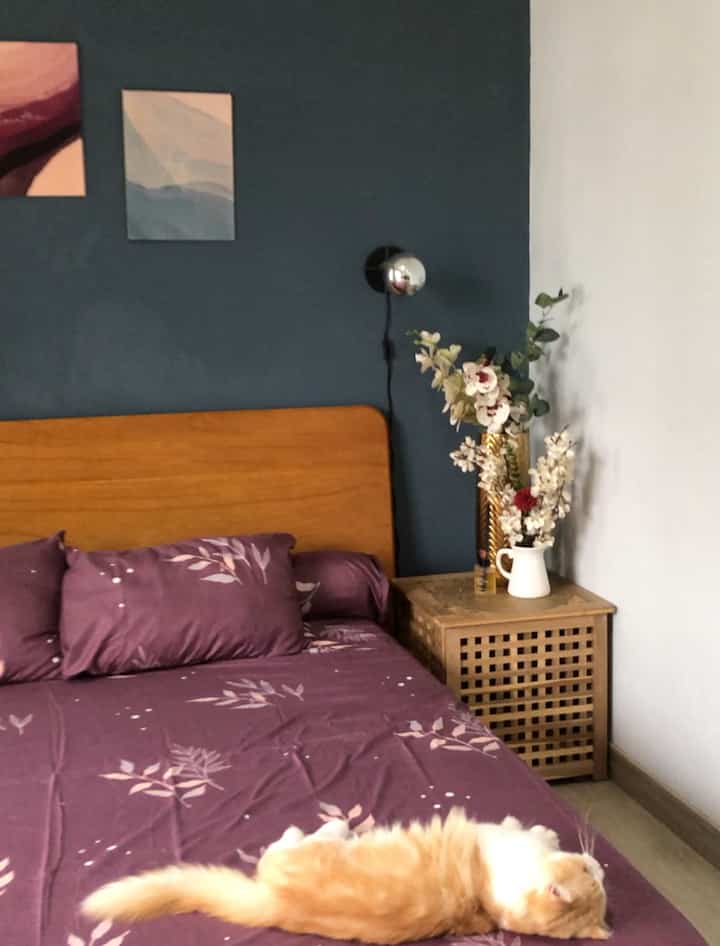Navy blue wall bedroom with rose gold plant stand, wooden bed with purple bedding and a relaxed cat lying on the bed