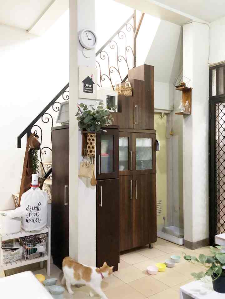 White walls and natural wood storage cabinets in a kitchen space, featuring pet cat and related accessories creating a cozy atmosphere