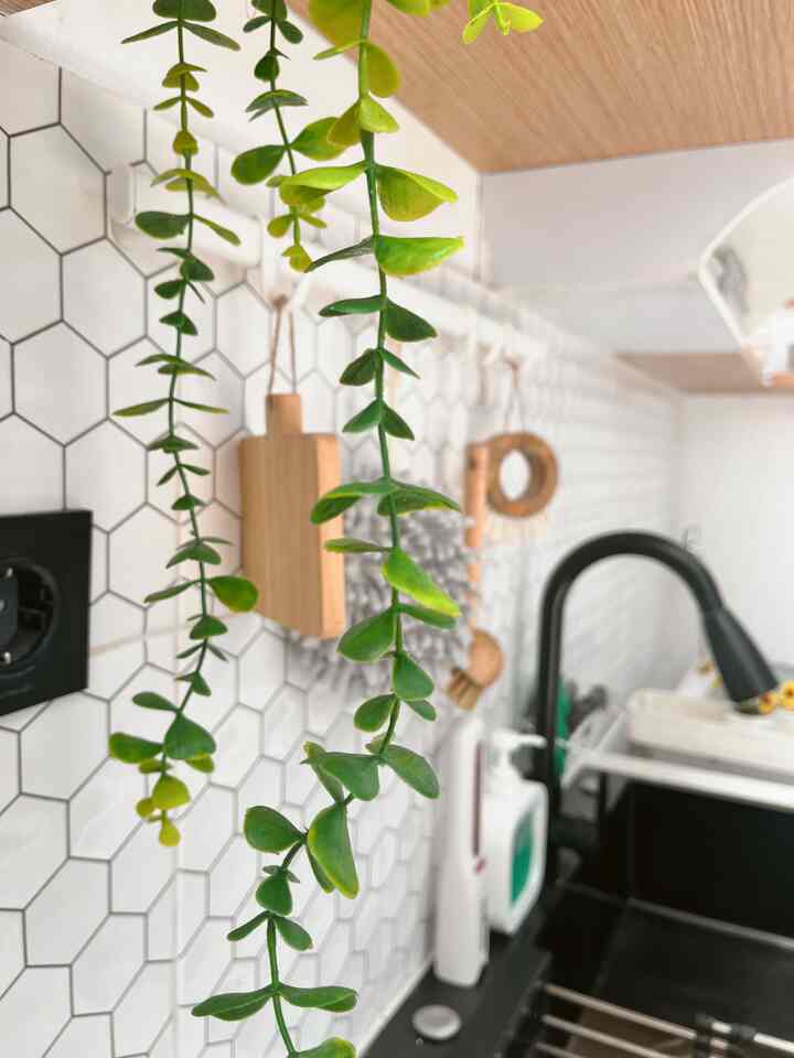 Styling Dapur✨

Hai haaii kenalin wajah baru dapur dari denty.house🤗
setelah kemarin dengan tema monochrome, kali ini aku restyling dengan sentuhan white n wood✨

hiasan yang berubah yaitu dari backsplash warna hitam menjadi putih dengan tema hexagonal

masih kaku banget yaa penataannya hihi maklum umur dapur nya masih 1 minggu jadi untuk styling nya masih banyak perubahan😆

suka dapur lama ku monochrome atau dapur baru white n wood? 🤗

#StylingDapur #MakeOverDapur #RenovasiDapur #DekorDapur #DapurMini #dapurminimalis #Dapur #DapurWhiteandWood