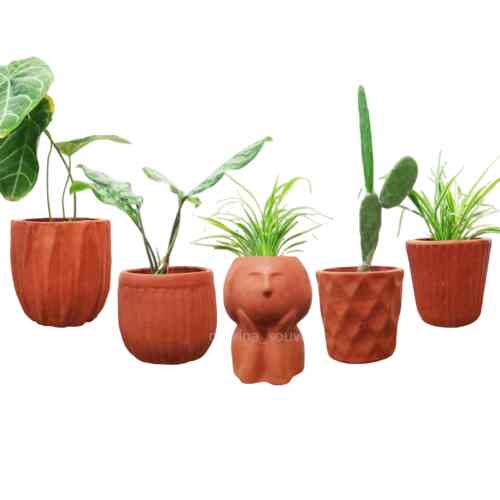 Pot Teracota Tanah Liat