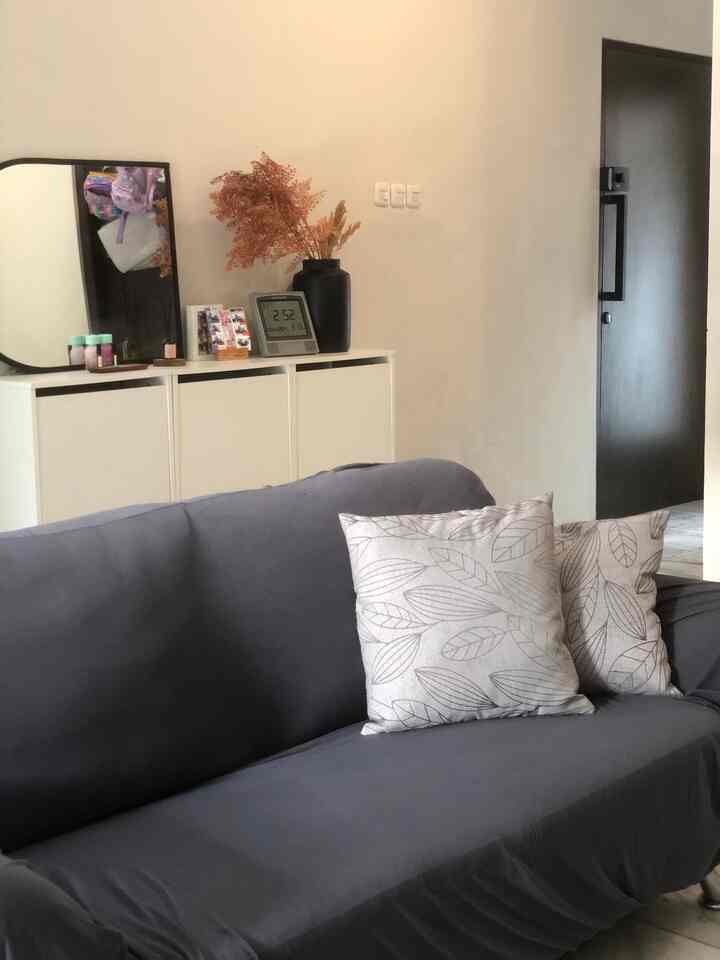 Simple modern living room with gray sofa cover and white shoe cabinet, featuring natural dried plants as accent