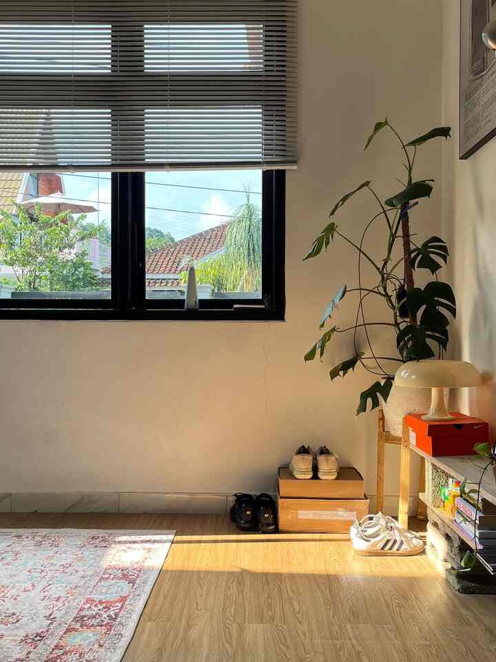 Warm wood tone floor and carpet in entrance area, cozy interior featuring a potted plant