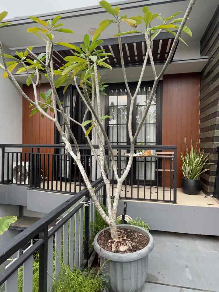BALCONY ✨

Balkon yang biasa kami gunakan sebagai area santai dan juga bisa sebagai tempat membaca bahkan bekerja. 

Sering juga kami di sini selepas makan malam untuk menikmati udara malam sekaligus menemani paksu merokok. Sebagai penerangan kami menggunakan lampu warm white membuat suasana balkon ini lebih syahdu.

Dengan menempatkan meja dan kursi serta prnambahan pot hitam berukuran 35cm dengan tanaman lidah buaya sebagai dekorasi di balkon ini.

#BalconyDesign
#Homestyling
#Homedecor
#Decorlowbudget
#Midcenturymodern
#Tangsel