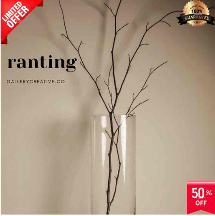 ranting kayu-kayu hias vas bunga aesthetic