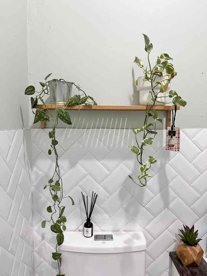 White tiled wall bathroom space with natural wooden shelf holding trailing plants and small succulent