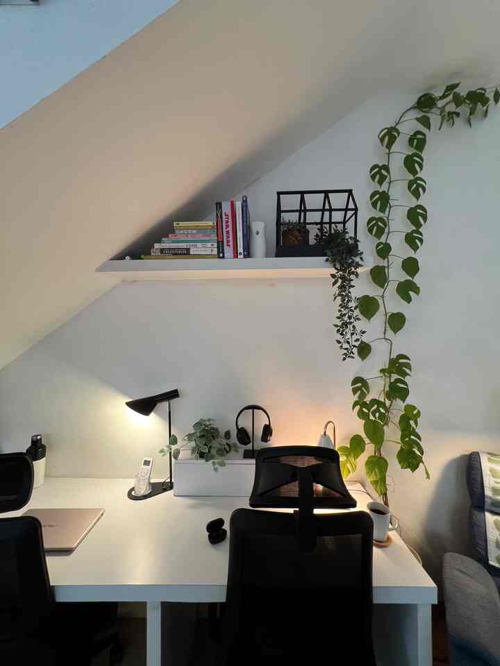 White toned compact home office space featuring black office chairs and green plants, creating a clean work environment