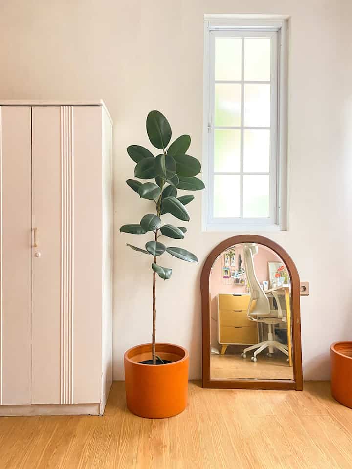 Struggling Merawat Tanaman Indoor

Personally, aku prefer merawat tanaman asli daripada tanaman artificial untuk dekorasi rumah. Selain sebagai estetika ruangan agar terlihat segar, tanaman asli yang ku punya ficus elastica ini juga dapat memfilter udara serta toxic di ruangan serta membuat ruangan menjadi lebih adem secara alami.

Namun, perawatannya bagi aku yg pemula dan suka kelupaan menyiram tanaman ini cukup struggling. Ketika aku terlalu lama menaruhnya di luar tanamanku serinh kali rentan hama seperti kutu putih pada tanaman palem kuning & sirih gading:( sedangkan untuk ficus ini sering kali daunnya rontoh apabila aku sering memindahkan posisi tanamannya sehingga daunnya botak di bagian bawah:(

Adakah yg punya struggle yg sama?
#indoorplant #tanamandalamruangan #tanaman #ficuselastica #Bekasi #LiveWithParents