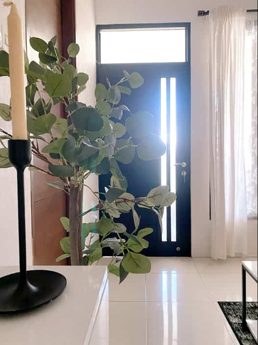 White and black toned entrance space featuring a tall plant adding softness and contrast