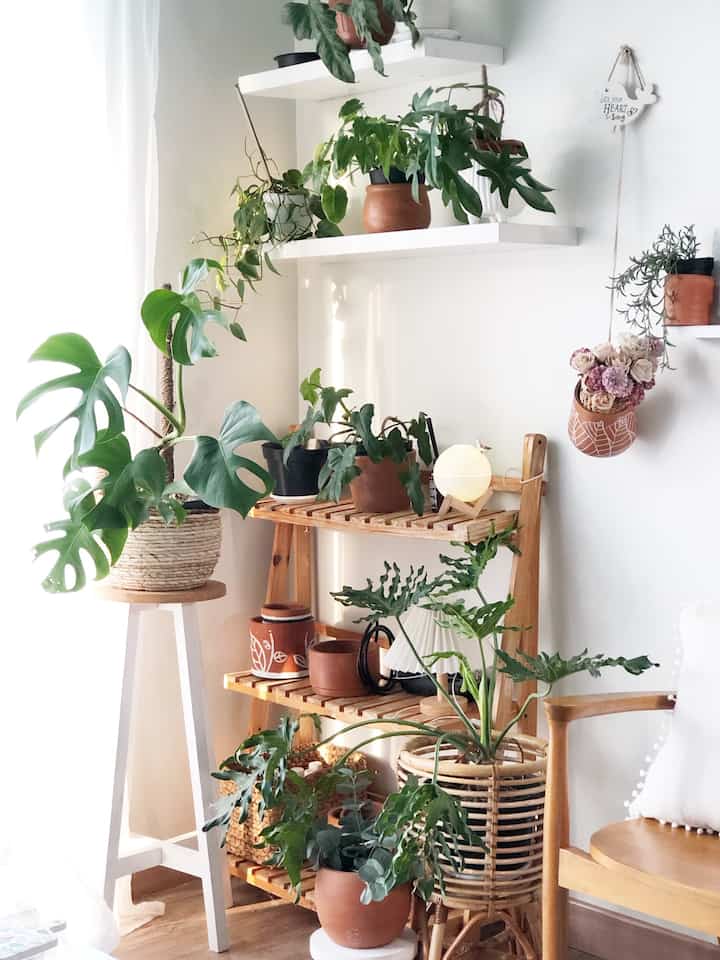 Lately, I only buy functional items. References and ideas actually come from platforms on social media.

Some of them are wooden plant shelves, shelves that make the walls really cool, table lamps and bohemian rugs.

Pocket friendly decor tips? because you are online more often, compare regularly. Don't checkout immediately. Sometimes there are discounts and free shipping at different stores. and make sure the review is ok.

Or offline, look for discount sessions 😄 like FYXNAS, one of the best buys during Eid discounts. Happy hunting!

#DekorBudgetFriendly #AestheticAffordable #SpillDecorLowBudget #Bohoscandi #cozyplace #plantmom #jakartabarat