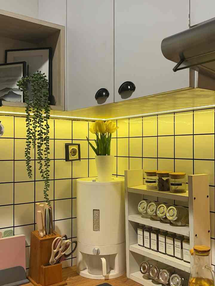 Decor Budget Friendly ✨

Ini dia dekorasi budget friendly alias ramah di kantong 😁, dan tidak cuma murah printilan dekorasi murah ini juga kami pilih yang fungsional.

Maksudnya nya pritilan  yang mempunyai 2 kegunaan sekaligus macam rak bumbu, botol bumbu, tempat pisau dll yang tidak hanya berfungsi sebagai tempat penyimpanan tapi secara look pritilan tersebut juga memperindah ruangan jadi terlihat aesthetic. 


#DecorBudgetFriendly
#AestheticAffordable
#SpillDecorLowBudget
