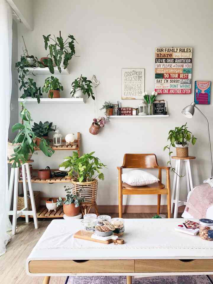 mungkin autochoose ya, 😄walau tidak secara khusus menetapkan palet warna, ternyata kental nuansa broken white, coklat dan abu.

Warna dasar rumah ini, broken white dan abu. Tapi ternyata, furniture pilihan selalu kekayuan.

Setiap cari item dekoratif maupun benda fungsional, pilihan hati selalu jatuh ke warna warna ini walau ada satu dua warna untuk aksen penanda ke boho an saya 😄

#BringColorsToMyHome #HomeColorPallete #RekomendasiWarnaRumah #cozyhome #decorlowbudger #plantmom #warmhome