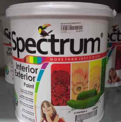 Spectrum Cat Tembok Dinding Putih