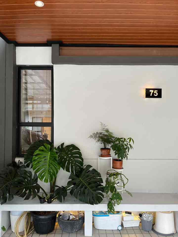 Dekor budget friendly, mengandalkan tanaman 😂 .. memang rumah terlihat cantik hanya dengan panjang tanama saja ya.
Dan kap lampu rotan tentunya, besat purchase tpi low budget ❤️


#DekorBudgetFriendly #AestheticAffordable #SpillDecorLowBudget #kibouichidekor #RumahDeveloper #RumahMungil #InspirasiDekor