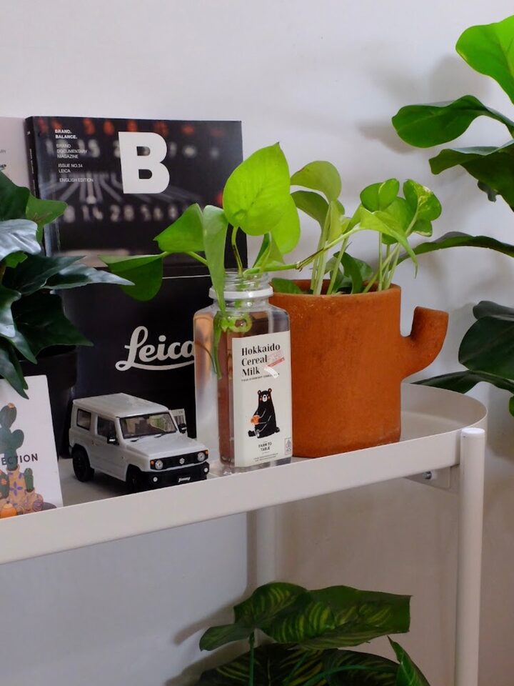 short form carousel card thumbnail