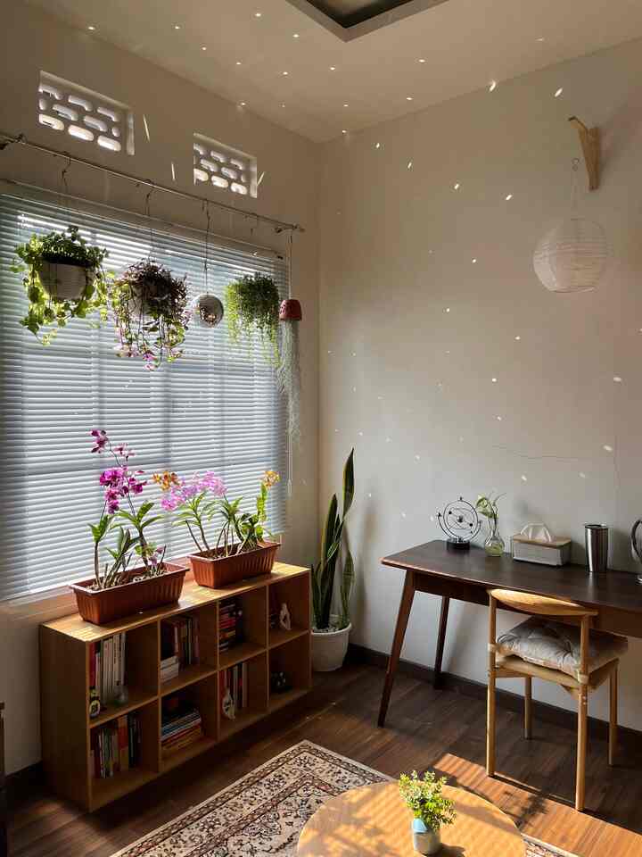 Hai! saya Hanif, pemilik akun @hanifsulthoni. Sejak kecil, saya memang punya ketertarikan besar terhadap tanaman dan segala jenis benda berbahan dasar kayu. Makanya waktu kedua orangtua saya bilang saya bebas untuk mendesign kamar saya sendiri, saya langsung terbayang untuk punya kamar dengan jendela besar dimana cahaya matahari bisa menyeruak kedalam supaya saya bisa mengadopsi banyak tanaman hias.

Tentunya tidak lupa untuk mengisi seisi kamar dengan segala macam benda dengan berbahan dasar (atau setidaknya memiliki tampilan) kayu. Setelah satu bulan lamanya mencari inspirasi dan mengotak-atik tata letak kamar, ini lah tampilan kamar saya untuk saat ini. Tentunya masih belum sempurna, tapi cukup untuk memenuhi fantasi kecil untuk bisa punya kamar dengan berbagai tanamam didalamnya. 

#TanamanDeco #kayu #homedecorinspo #homestyle
