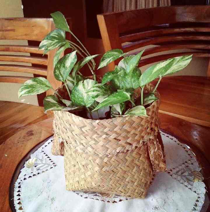 Keranjang Anyam- size S 20cm