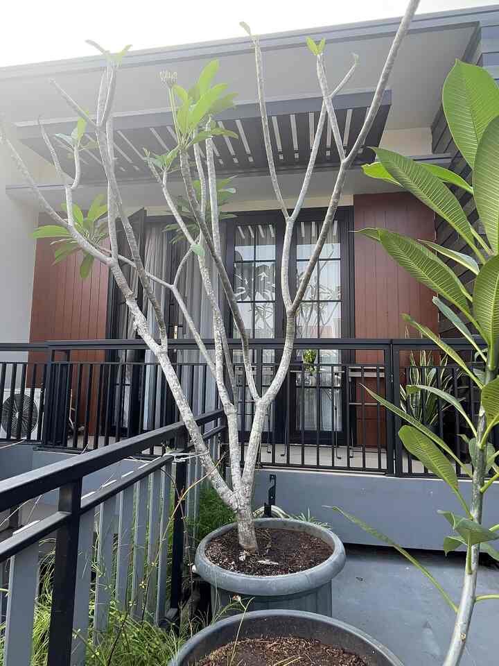 Fasade ✨

Fasad lantai atas memadukan warna hitam dan coklat pada dinding maupun canopy, sisi kanan dan kiri dinding di lapisi conwood plank nuansa kayu begitu juga canopy memakai conwood fence dengan atap solar flat transparan.
 


#InspirasiFasadRumah
#FasadeIdeas
#GayaFasad
#Decorlowbudget
#Tangsel