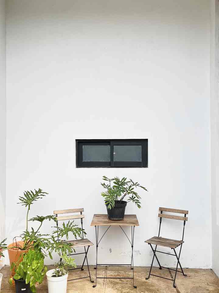 Simple outdoor space with white wall background featuring wooden outdoor table and chairs with various plants