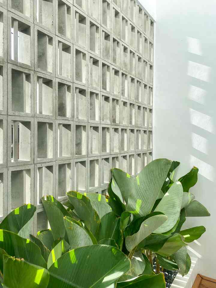 Lahan 2 x 2,4 m ini adalah mini garden di rumah kami. Kami menyebutnya sebagai “secret garden”. Karena memang letaknya tidak tampak dari dalam dan luar rumah, aksesnya pun terbatas hanya dapat dilalui dari area privasi di rumah ini.
Perpaduan roster, tanaman calathea lutea, batu coral hitam bengkulu juga WPC Decking membuat kesan lebih estetik.
Kami sering menikmati sore atau bahkan malam hari disini secara bersama-sama. Sekedar mengobrol ringan sambil menikmati cemilan ala kadarnya, alhamdulillah cukup bisa melepaskan penat.

#inspirasitamanminimalist #tamanmungil #minigarden 