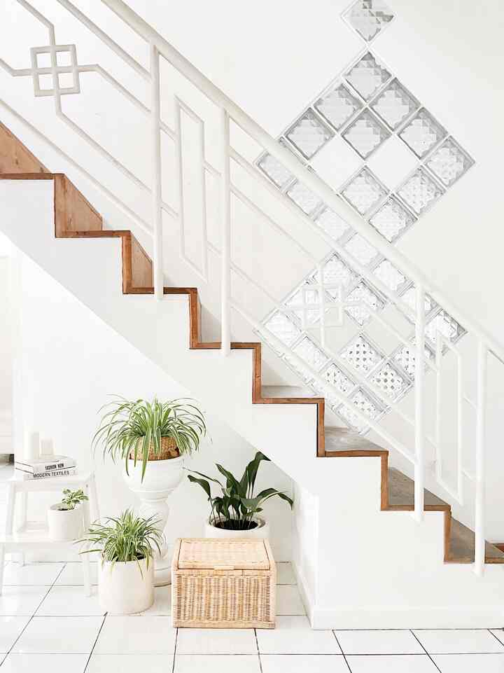 A Scandinavian style space featuring natural plants under white and wood tone stairs with a clean atmosphere