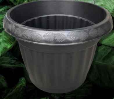 Pot Koi 30 Kuping hitam Tebal dan Berkualitas