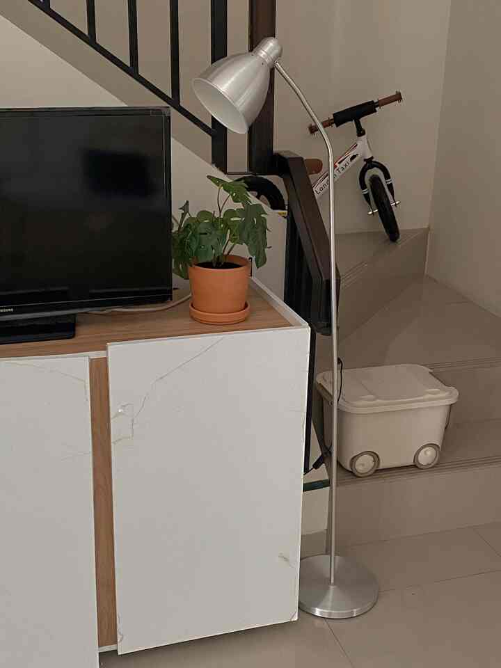 White and natural tone entrance space featuring TV stand with plant and floor lamp, clean and minimalistic interior