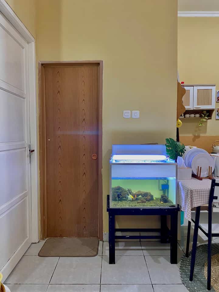 Bidang hobi suamiku adalah Akuarium dengan ikan-ikan biasa 🤣
Gara-gara Open Space, dapur jadi ramai

#rumahopenspace
#rumahrantau
#asramabrimob
#vampir
#iderumahminimalis
#rumahopenspace
#iderumahopenspace