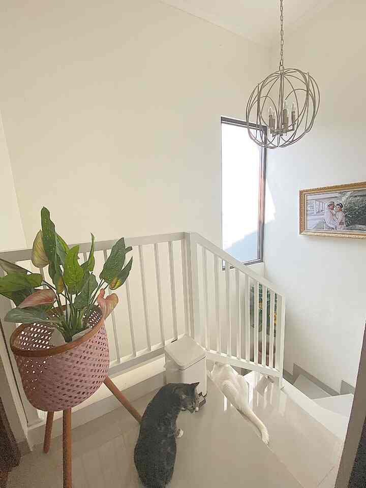suka banget setiap ada cahaya matahari masuk lewat jendela besar yg ada di tangga ini jadi bikin ruangan kena cahaya alami 


#stairs #inspirasirumah #homedecor #aesthetic #homelivingbylistya #petparent #home